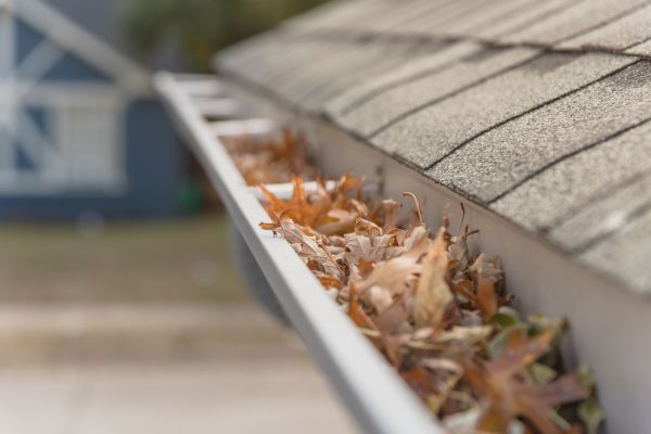 Leaf Barrier Installation in Fredericksburg